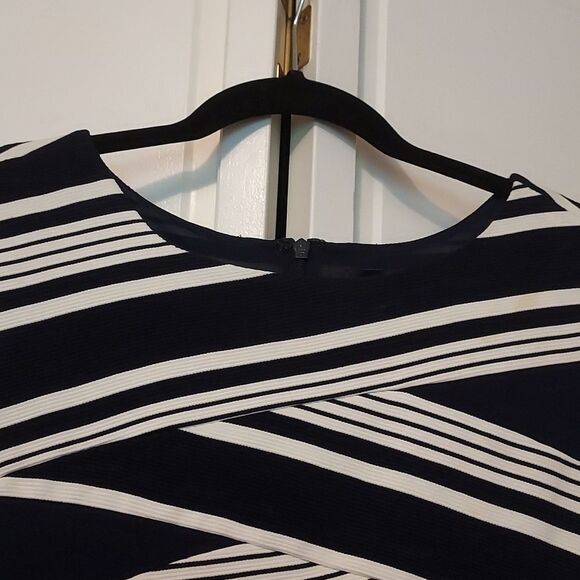 Adrianna Papell dark navy blue and white dress sleeveless shift striped size 10 - Picture 3 of 8